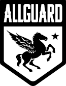 AllGuard Car Care & Detailing